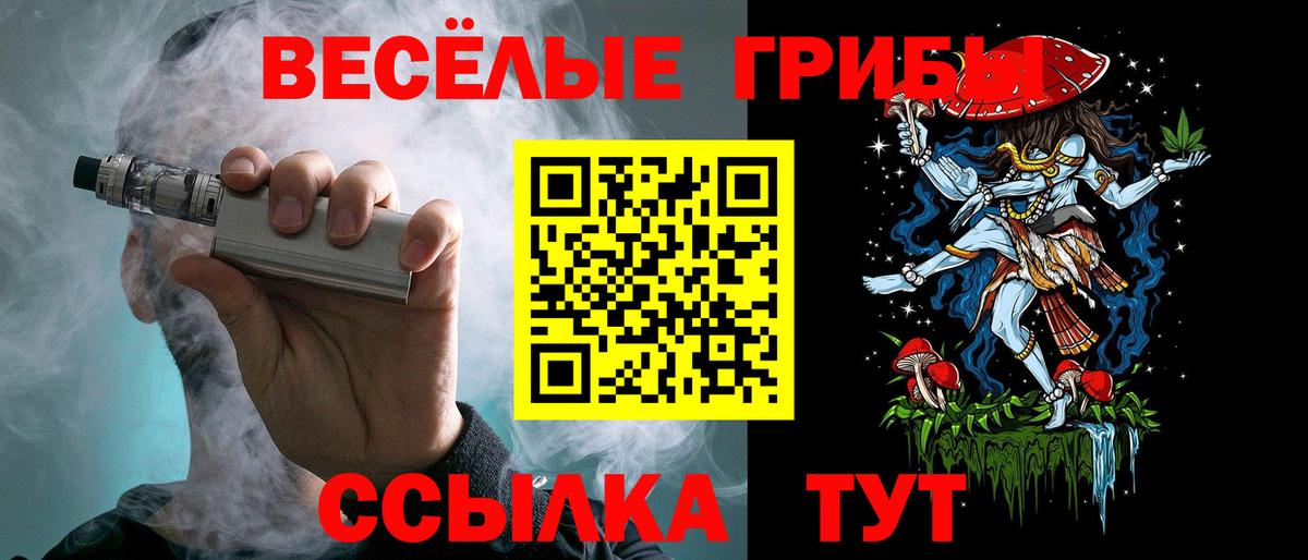 Псилоцибиновые грибы мицелий Кольчугино