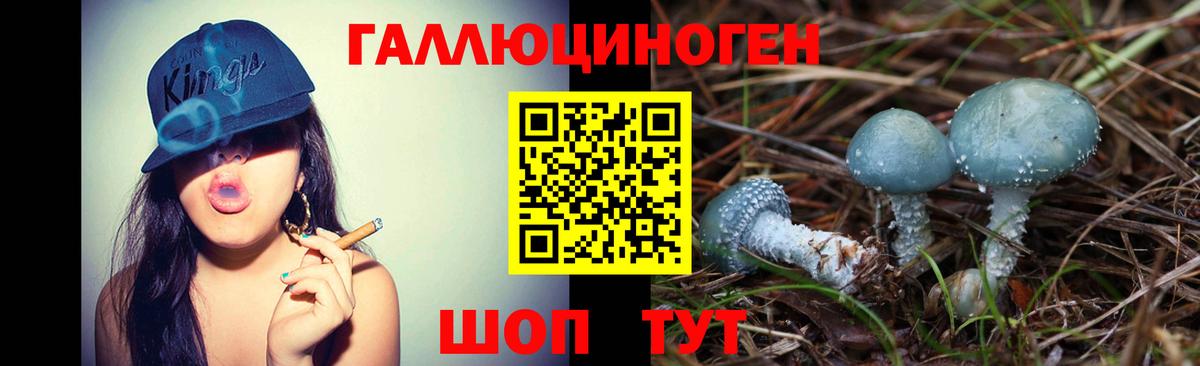 Псилоцибиновые грибы Psilocybine cubensis  Вход с VPN  наркошоп  Кольчугино 